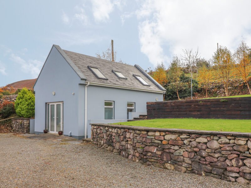 Silver Birch House