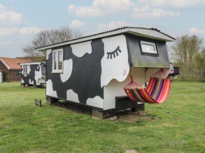 Dozy Dotty (Cow Shed 4)