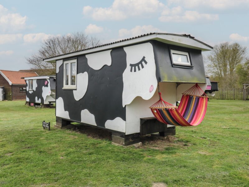 Dozy Dotty (Cow Shed 4)