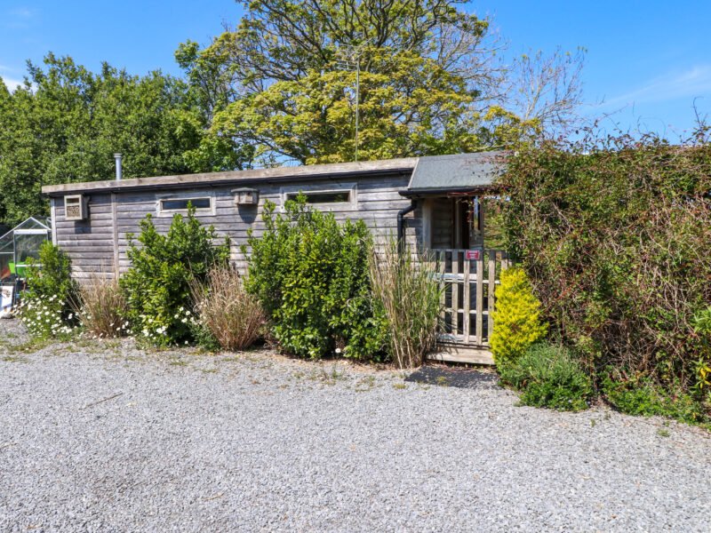 The Cabin